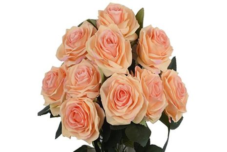 Peach Roses - 40 / 50 cm  Pack 100