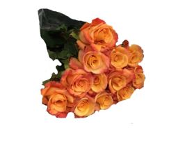 Orange Roses - 40 / 50 cm Pack 100