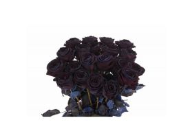 Black Tinted Roses