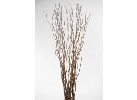Curly Willow Large