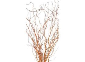 Curly Willow Tips