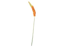Fox Tail