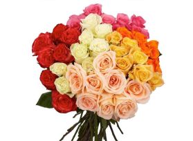 Roses Assorted 40 cm