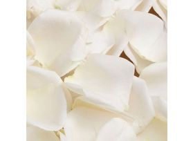 Rose Petals White - 1000 petals