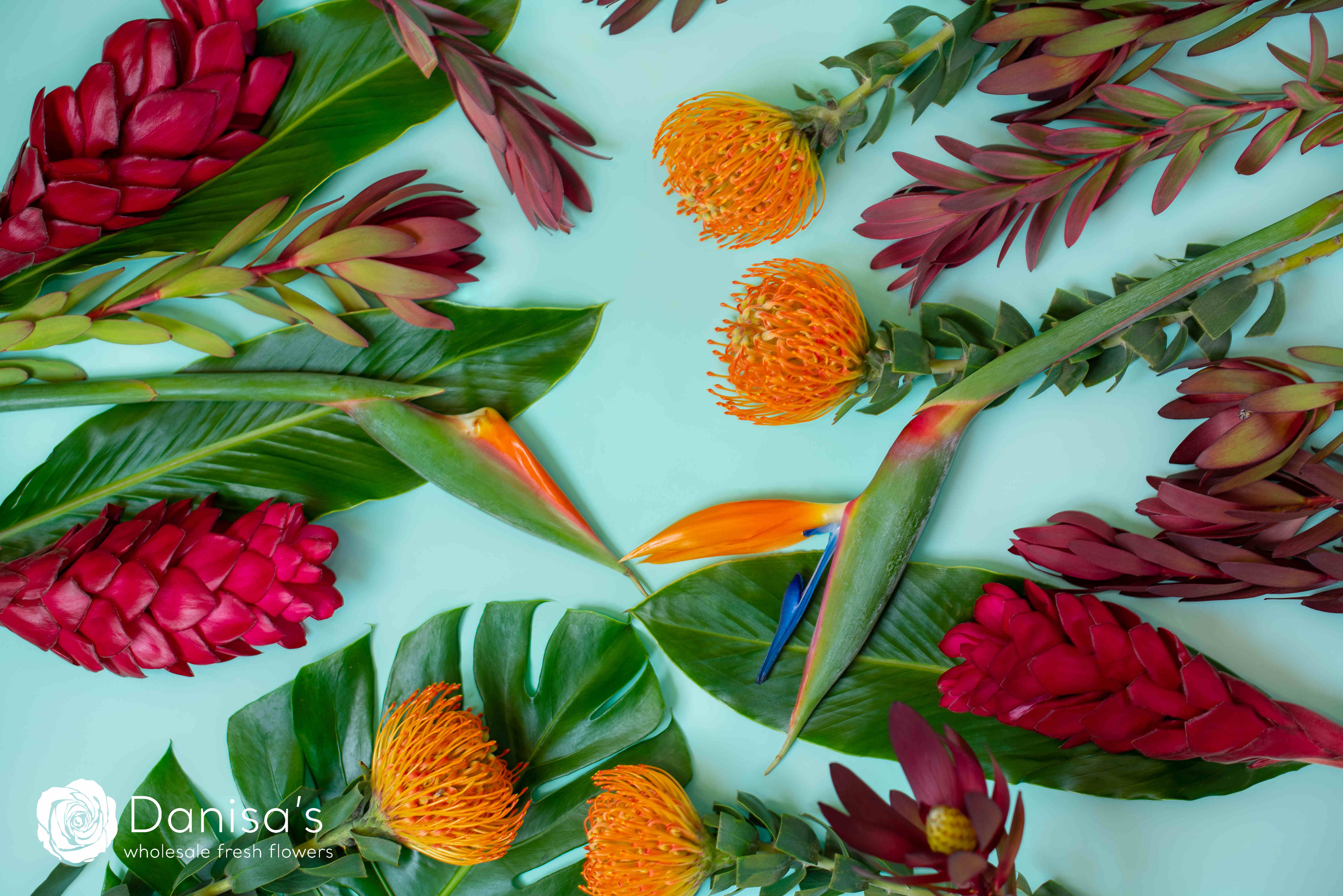 Tropical