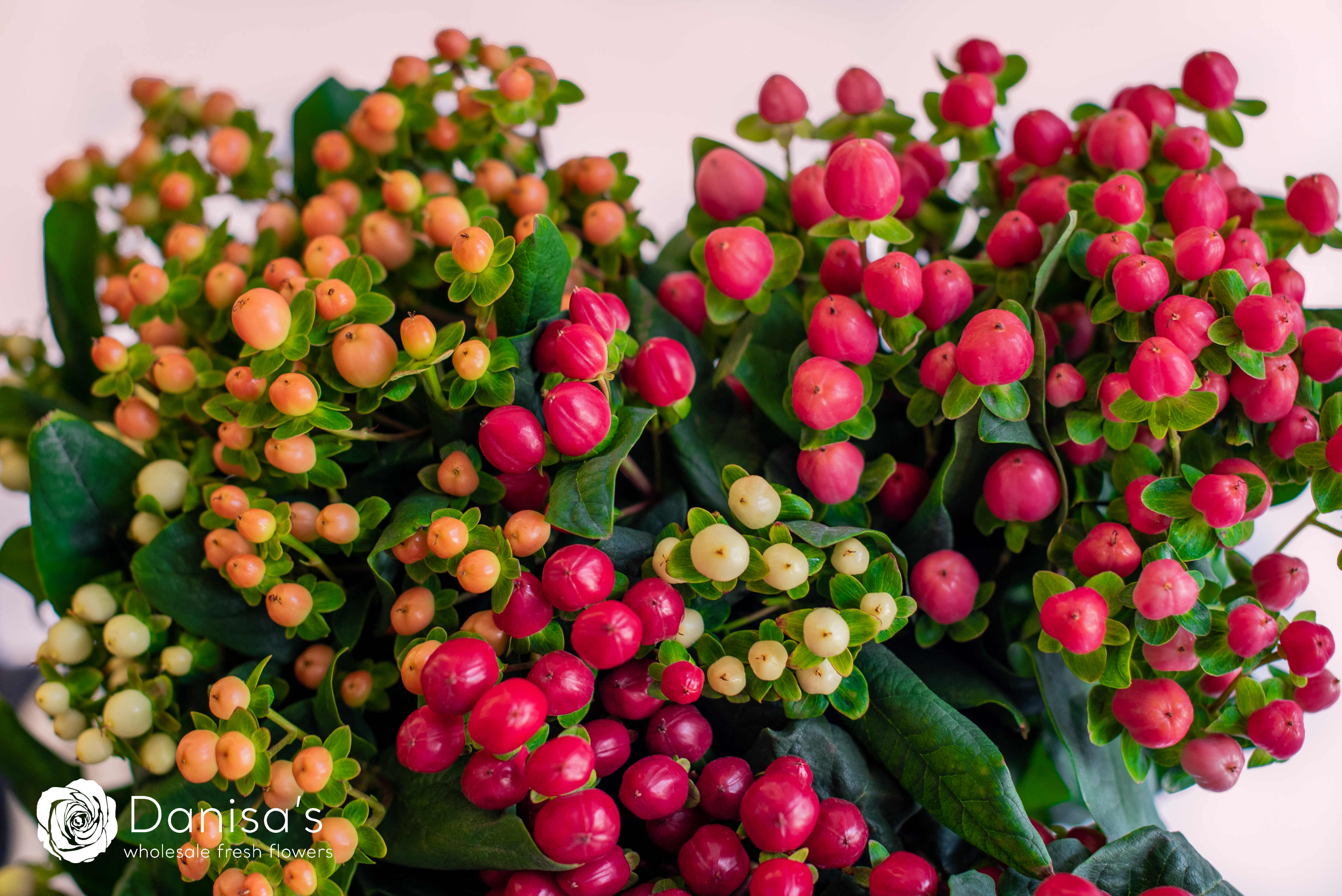 Fillers & Berries