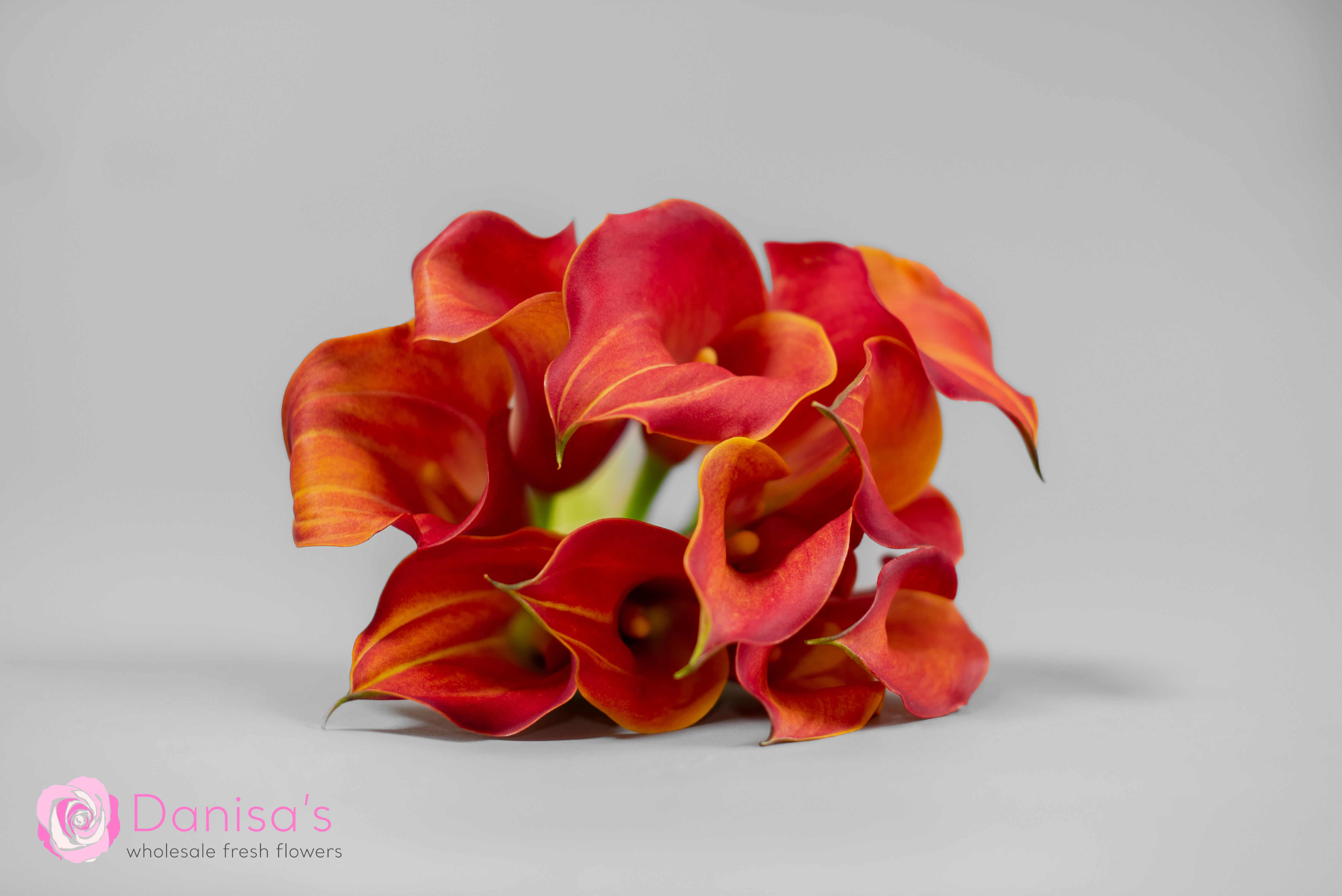 Fresh Flowers